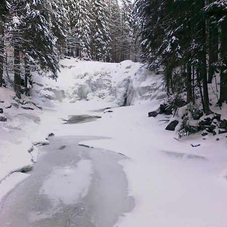 Pension Mona Harrachov Exteriér fotografie