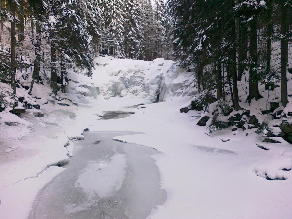 Pension Mona Harrachov Exteriér fotografie