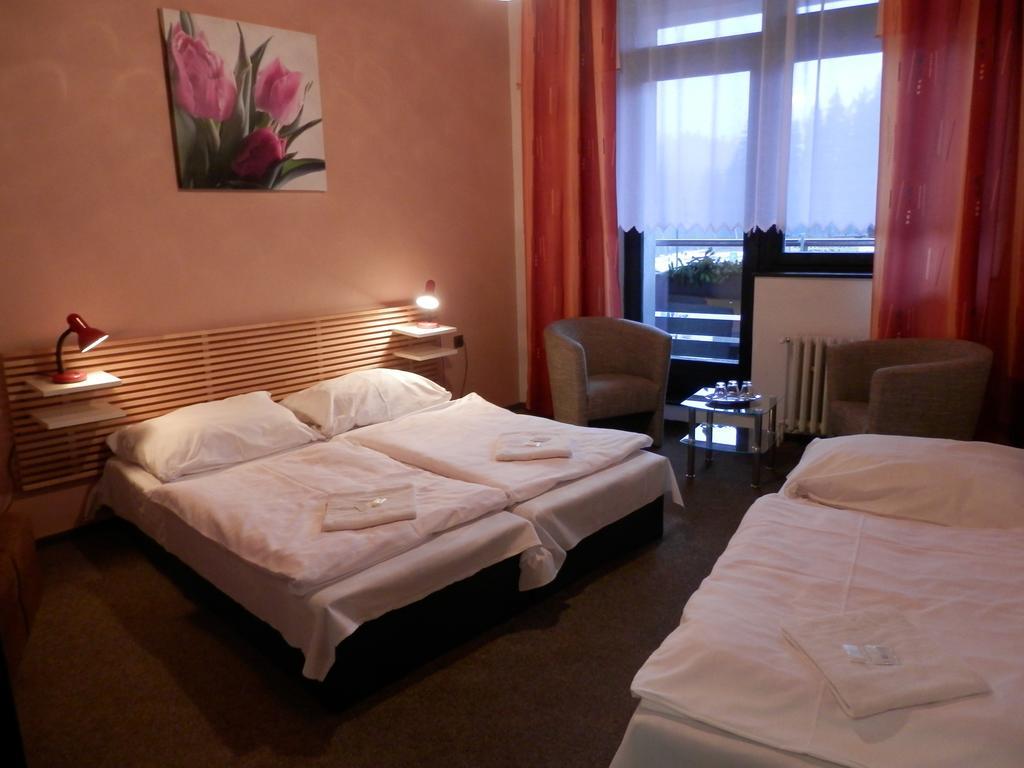 Pension Mona Harrachov Pokoj fotografie