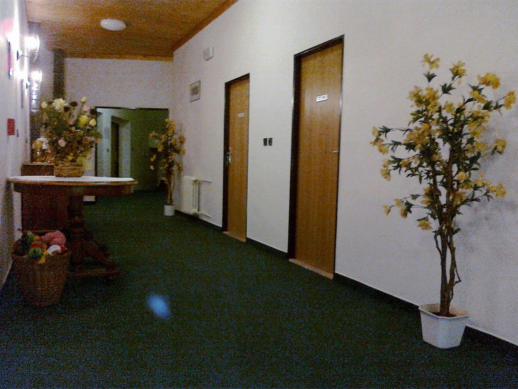 Pension Mona Harrachov Exteriér fotografie